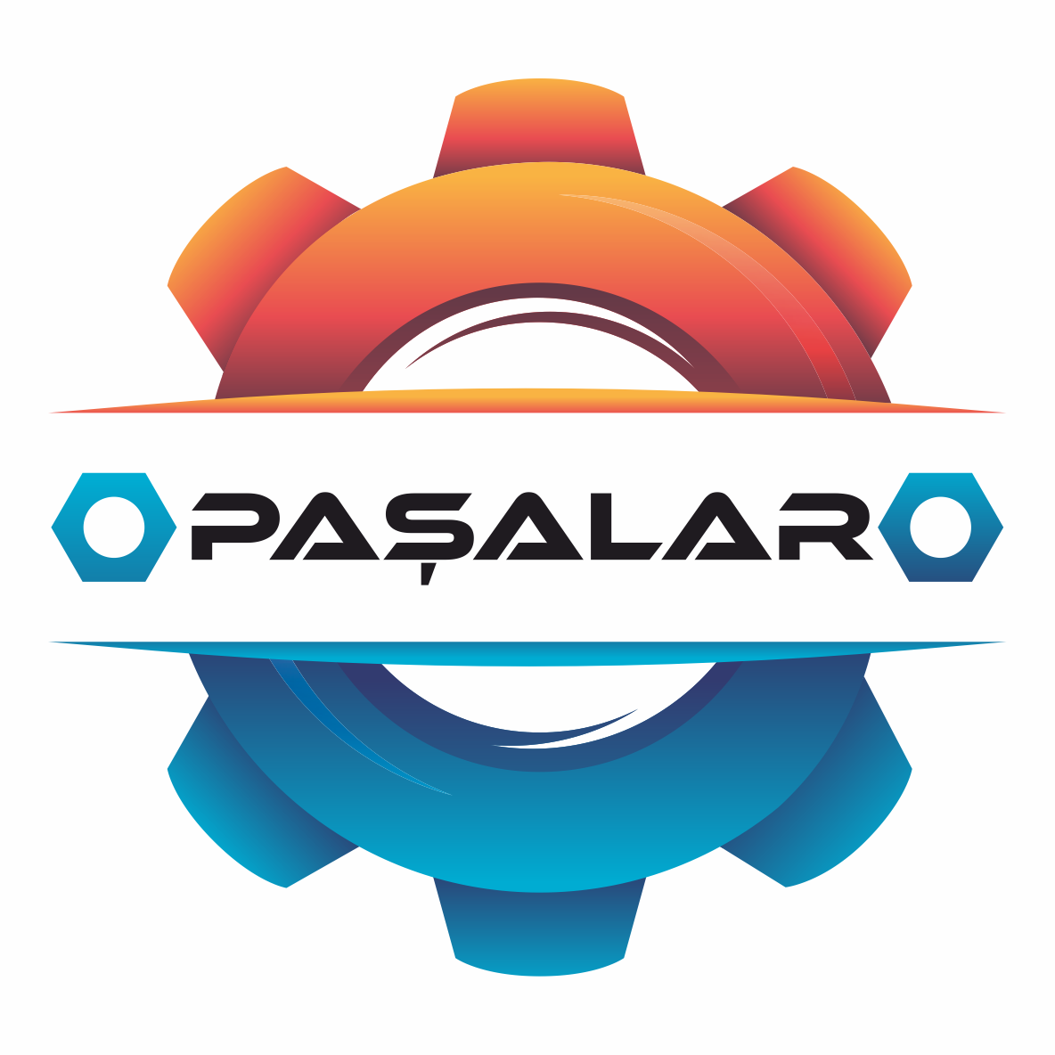 Paşalar Hidrolik Pompa logo